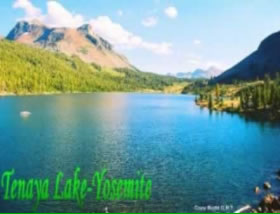 Yosemite2DayTour